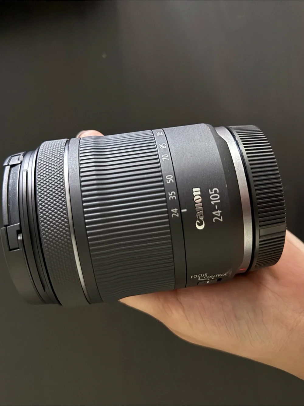 Canon Gray Standard Zoom Lens